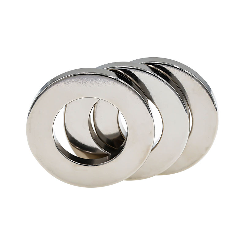 Stappenmotor magneet