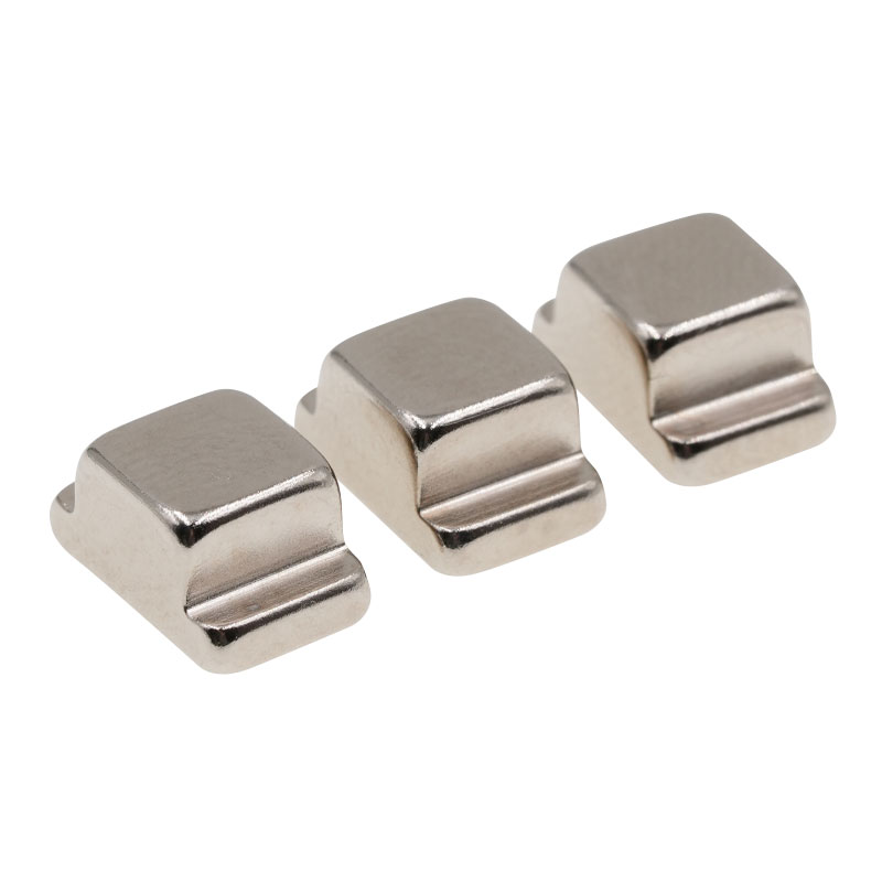 Aangepaste vorm permanente magneet