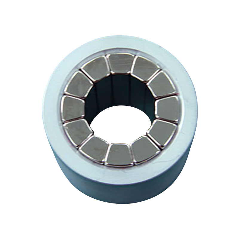 Halbach Componentenmagneet